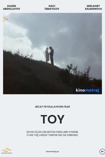 Locandina di Toy