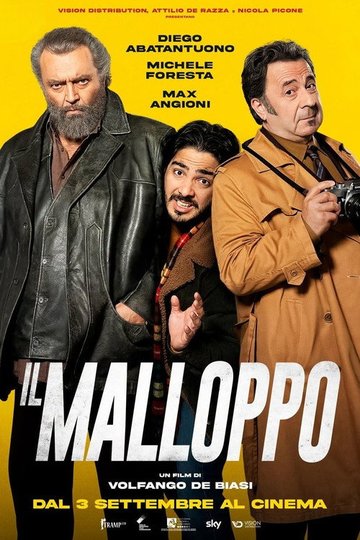 Locandina di Il malloppo