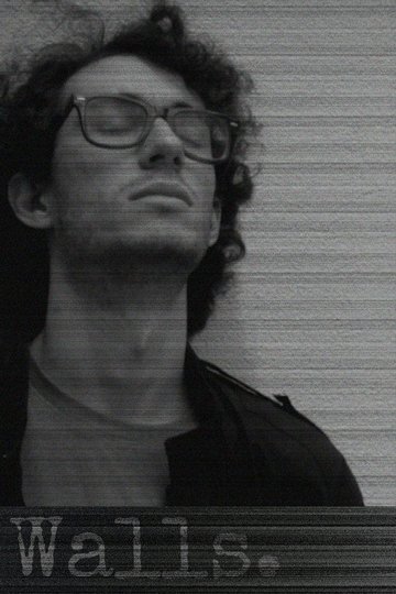 Locandina di Walls.