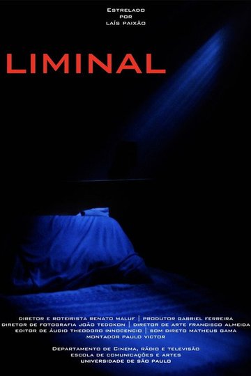 Locandina di Liminal