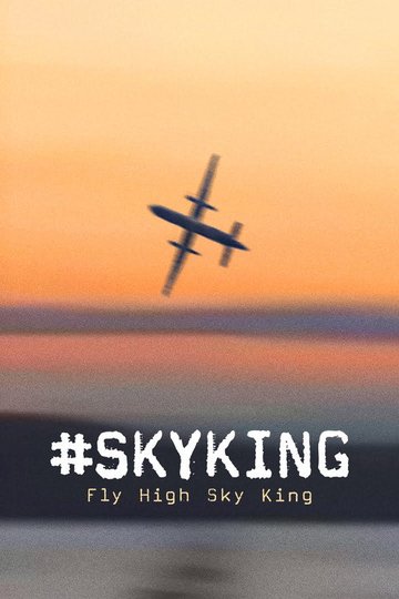 Locandina di #SKYKING
