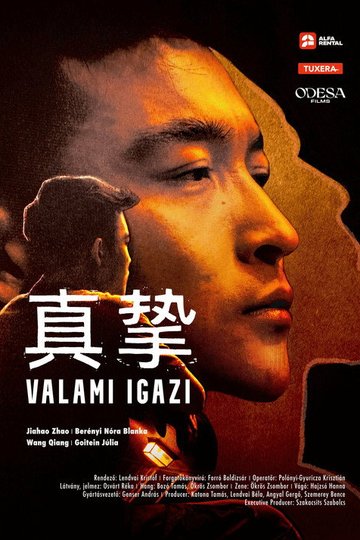 Locandina di Valami igazi