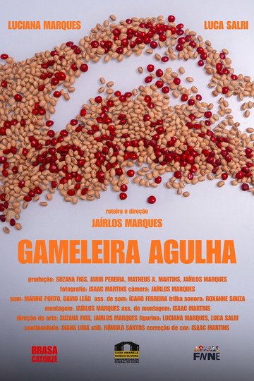 Locandina di Gameleira Agulha