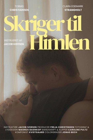 Locandina di Skriger til Himlen
