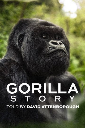 Locandina di A Gorilla Story: l'incontro di David Attenborough