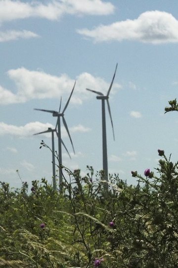 Locandina di Windpark: Ein Lichtspiel bei Nacht