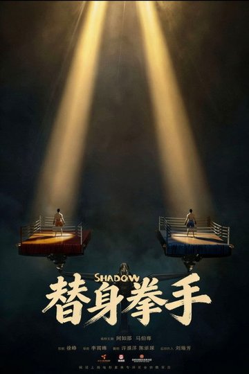 Locandina di 替身拳手