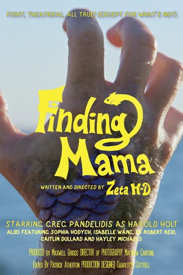 Locandina di Finding Mama