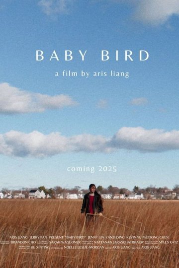 Locandina di Baby Bird
