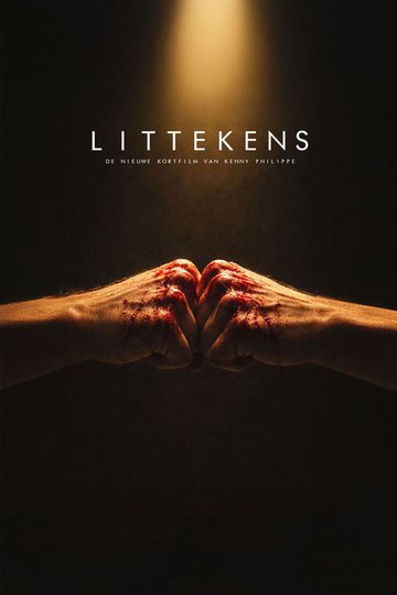 Locandina di Littekens