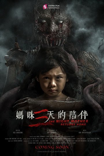 Locandina di The Night Mother Returns Home