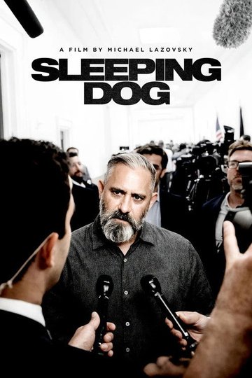 Locandina di Sleeping Dog