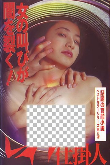Locandina di レイプ仕掛人