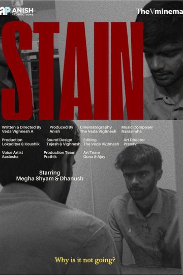 Locandina di STAIN
