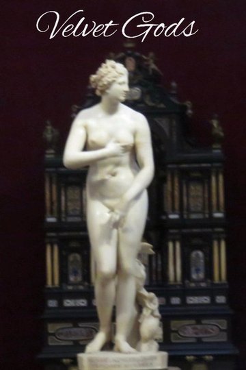 Locandina di Velvet Gods