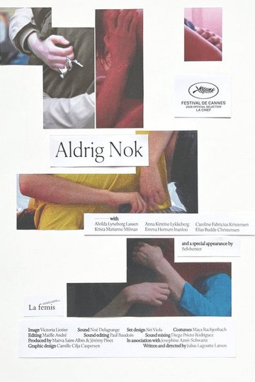 Locandina di Aldrig Nok