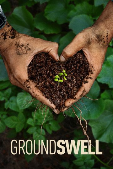 Locandina di Groundswell
