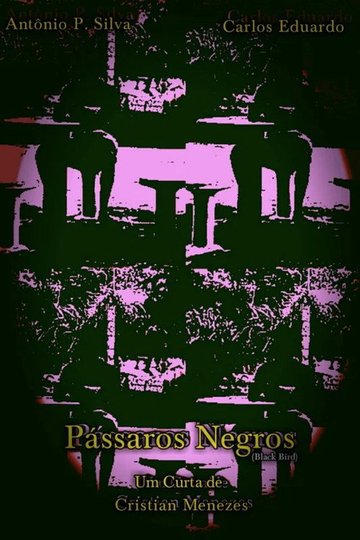 Locandina di Pássaros Negros
