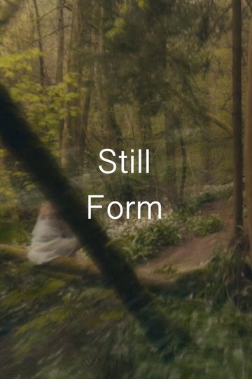 Locandina di Still Form