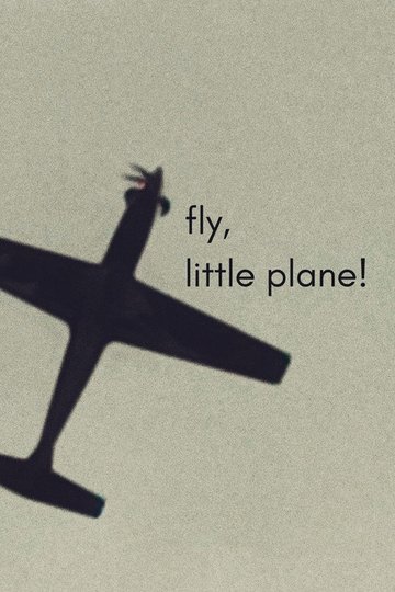 Locandina di fly, little plane!