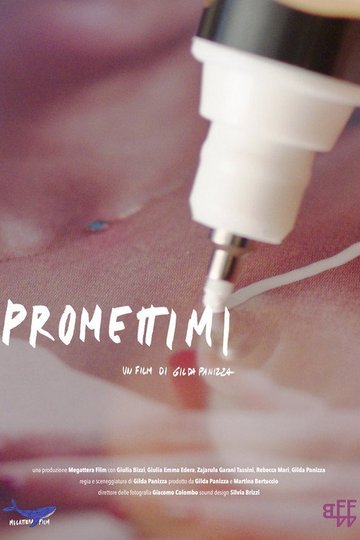 Locandina di Promettimi