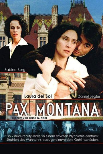 Locandina di Laura