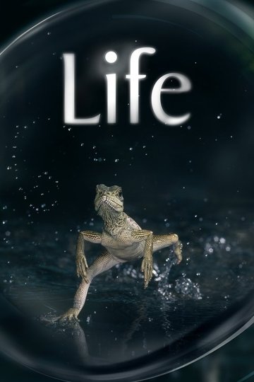 Locandina di Life