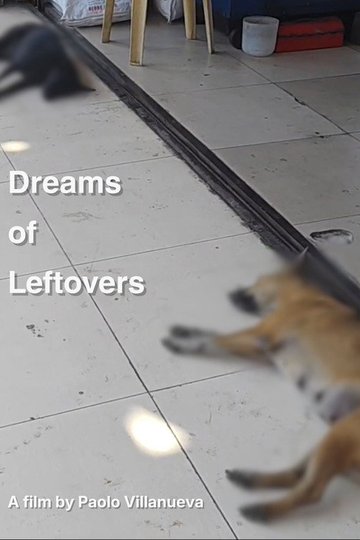 Locandina di Dreams of Leftovers