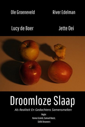 Locandina di Droomloze Slaap