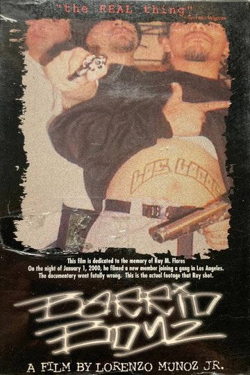 Locandina di Barrio Boyz