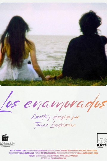 Locandina di The lovers