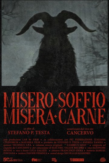 Locandina di Misero Soffio Misera Carne