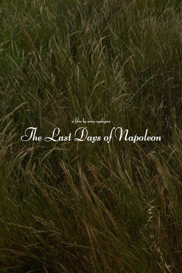 Locandina di The Last Days of Napoléon