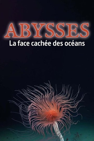 Locandina di Abysses, la face cachée des océans