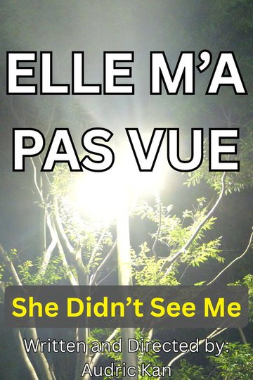 Locandina di Elle M'a Pas Vue
