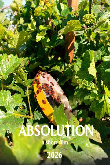 Locandina di Absolution