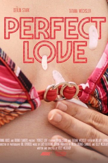 Locandina di Perfect Love