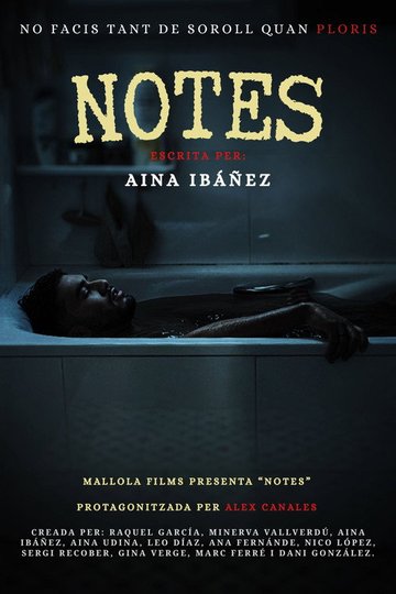 Locandina di Notes