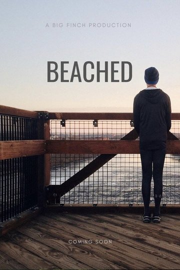 Locandina di Beached