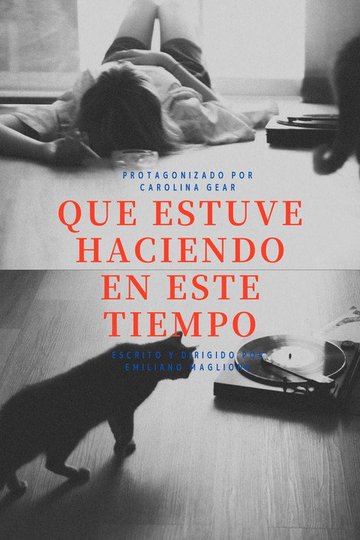 Locandina di Que estuve haciendo en este tiempo