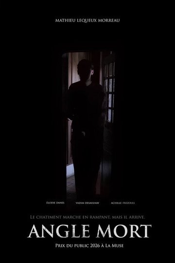 Locandina di Angle Mort