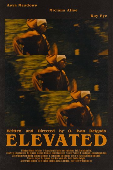 Locandina di Elevated