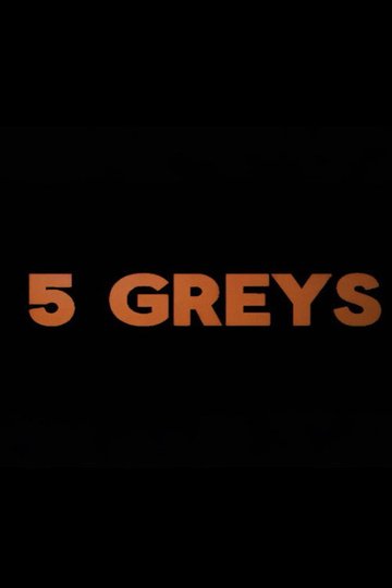 Locandina di 5 Greys
