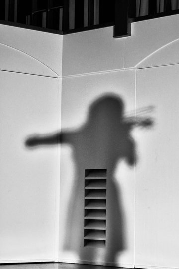 Locandina di The Violinist