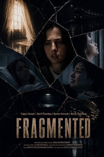 Locandina di Fragmented