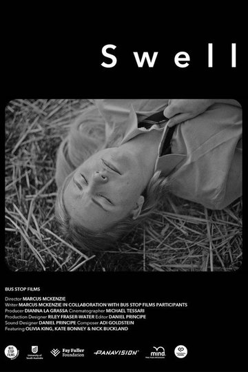 Locandina di Swell