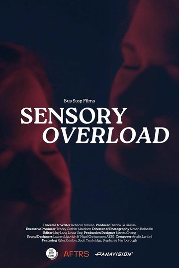 Locandina di Sensory Overload