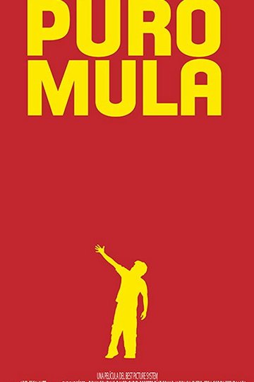 Locandina di Puro Mula