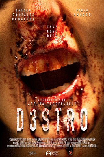 Locandina di D3STRO