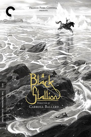Locandina di Black Stallion